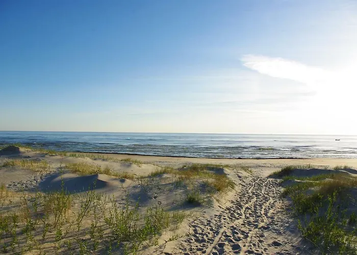 Pas Aldona Apartment Palanga